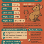 prediksi togel taiwan hari ini