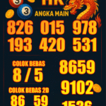 tomorototo , togel bebas invest, situs bebas invest